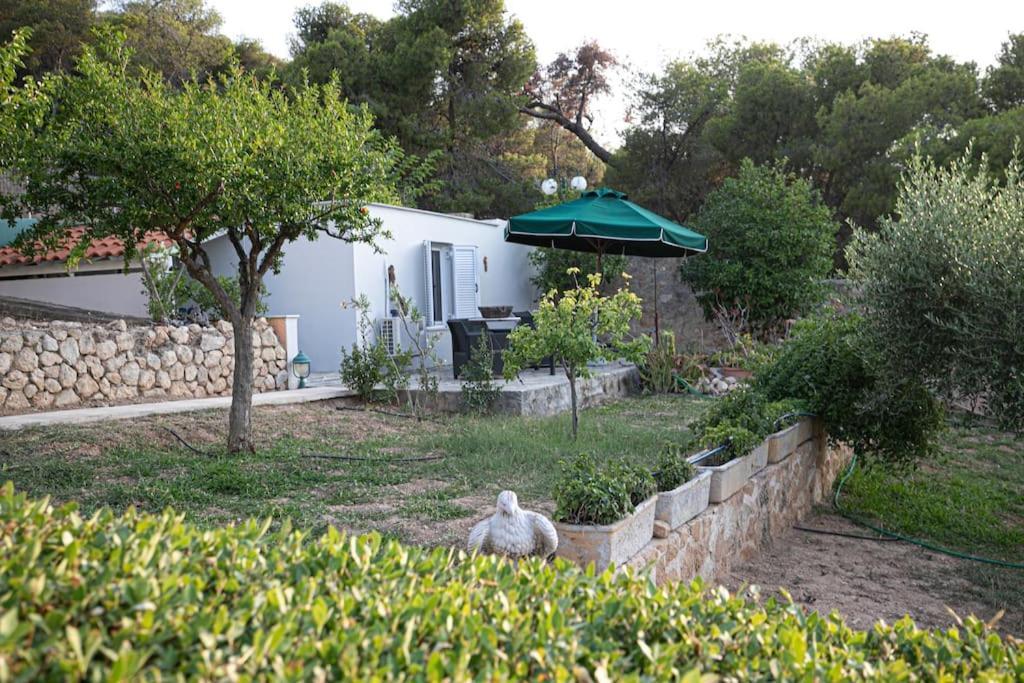 Agioi Pines & Sea Studio מראה חיצוני תמונה