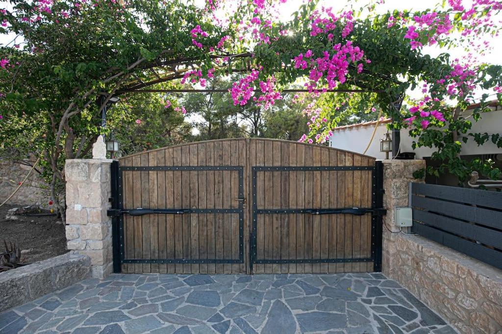Agioi Pines & Sea Studio מראה חיצוני תמונה